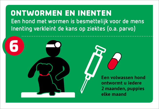 tip 6: ontwormen en inenten